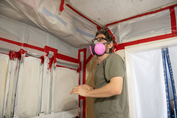 Mold Remediation for Rental Properties in North Falmouth, MA